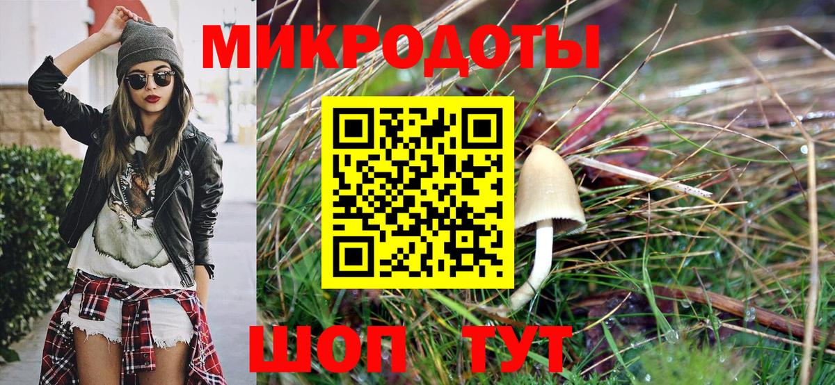 Галлюциногенные грибы MAGIC MUSHROOMS  Вход с VPN  продажа наркотиков  Братск  Псилоцибиновые грибы прущие грибы 